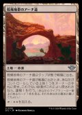 [EX+](FOIL)乾燥地帯のアーチ道/Arid Archway《日本語》【OTJ】