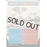 (FOIL)(フルアート)尖塔断の運河/Spirebluff Canal《日本語》【OTJ】
