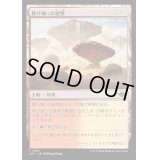 [EX+](FOIL)擦り減った絶壁/Abraded Bluffs《日本語》【OTJ】