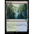 (FOIL)植物の聖域/Botanical Sanctum《日本語》【OTJ】