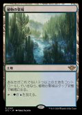 (FOIL)植物の聖域/Botanical Sanctum《日本語》【OTJ】