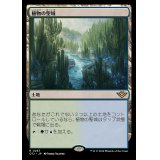 [EX+](FOIL)植物の聖域/Botanical Sanctum《日本語》【OTJ】