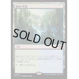 [EX](FOIL)植物の聖域/Botanical Sanctum《日本語》【OTJ】
