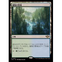 [EX+](FOIL)植物の聖域/Botanical Sanctum《日本語》【OTJ】