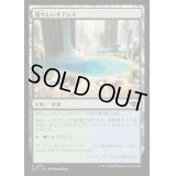 [EX+]瑞々しいオアシス/Lush Oasis《日本語》【OTJ】