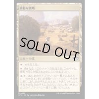 (FOIL)素朴な農場/Bucolic Ranch《日本語》【OTJ】