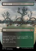 (FOIL)(フルアート)花盛りの湿地/Blooming Marsh《日本語》【OTJ】