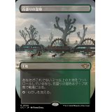(FOIL)(フルアート)花盛りの湿地/Blooming Marsh《日本語》【OTJ】