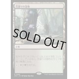 [EX+]花盛りの湿地/Blooming Marsh《日本語》【OTJ】