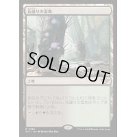 [EX+]花盛りの湿地/Blooming Marsh《日本語》【OTJ】