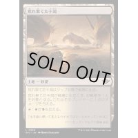 [EX+](FOIL)荒れ果てた干潟/Forlorn Flats《日本語》【OTJ】