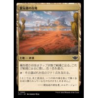 (FOIL)蜃気楼の台地/Mirage Mesa《日本語》【OTJ】