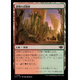 逆棘の辺境林/Bristling Backwoods《日本語》【OTJ】
