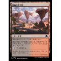 (FOIL)鋸歯の痩せ地/Jagged Barrens《日本語》【OTJ】