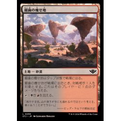 画像1: (FOIL)鋸歯の痩せ地/Jagged Barrens《日本語》【OTJ】