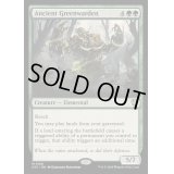 [EX+]古の緑守り/Ancient Greenwarden《英語》【OTC】