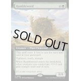 [EX+](フルアート)ランブルウィード/Rumbleweed《英語》【OTC】