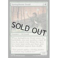 [EX+]春花のドルイド/Springbloom Druid《英語》【OTC】