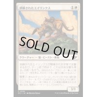(FOIL)訓練されたエイリンクス/Trained Arynx《日本語》【OTJ】