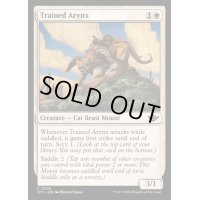 [EX+](FOIL)訓練されたエイリンクス/Trained Arynx《英語》【OTJ】