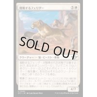 (FOIL)躍動するフェリダー/Bounding Felidar《日本語》【OTJ】