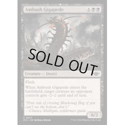 画像1: (FOIL)待ち伏せる千足虫/Ambush Gigapede《英語》【OTJ】
