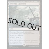 [EX+]水没した地下墓地/Drowned Catacomb《英語》【OTC】