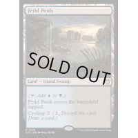 [EX+]異臭の池/Fetid Pools《英語》【OTC】