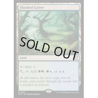 [EX+]溢れかえる果樹園/Flooded Grove《英語》【OTC】