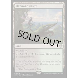 画像1: ラノワールの荒原/Llanowar Wastes《英語》【OTC】