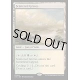 [EX+]まばらな木立ち/Scattered Groves《英語》【OTC】