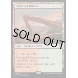 [EX+]隠れた茂み/Sheltered Thicket《英語》【OTC】