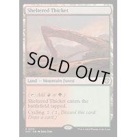 [EX+]隠れた茂み/Sheltered Thicket《英語》【OTC】