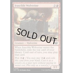 画像1: (FOIL)怒りっぽいクズリ/Irascible Wolverine《英語》【OTJ】