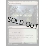 [EX+]緑ばんだ沼/Viridescent Bog《英語》【OTC】