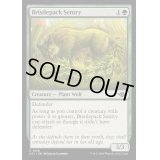 [EX+]逆棘群の歩哨/Bristlepack Sentry《英語》【OTJ】
