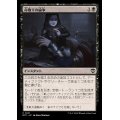 命取りの論争/Deadly Dispute《日本語》【OTC】