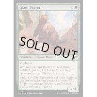 [EX+](FOIL)巨大ビーバー/Giant Beaver《英語》【OTJ】