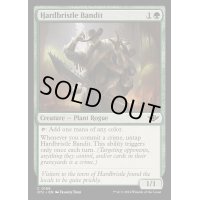 [EX+](FOIL)ハードブリスルの略奪者/Hardbristle Bandit《英語》【OTJ】