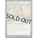 [EX+](FOIL)タンブルウィードの増大/Tumbleweed Rising《英語》【OTJ】