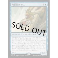 (FOIL)大魔導師のイモリ/Archmage's Newt《日本語》【OTJ】