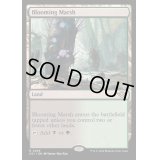 [EX](FOIL)花盛りの湿地/Blooming Marsh《英語》【OTJ】