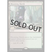 [EX](FOIL)花盛りの湿地/Blooming Marsh《英語》【OTJ】