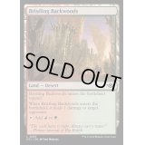 [EX+]逆棘の辺境林/Bristling Backwoods《英語》【OTJ】