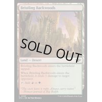 [EX+](FOIL)逆棘の辺境林/Bristling Backwoods《英語》【OTJ】