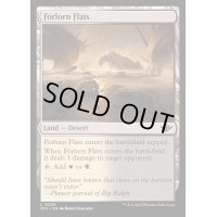 [EX+](FOIL)荒れ果てた干潟/Forlorn Flats《英語》【OTJ】