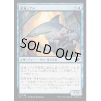 (FOIL)金貸しザメ/Loan Shark《日本語》【OTJ】
