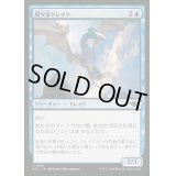 (FOIL)間欠泉ドレイク/Geyser Drake《日本語》【OTJ】