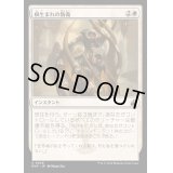 (FOIL)根生まれの防衛/Rootborn Defenses《日本語》【RVR】