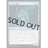 (FOIL)しつこい請願者/Persistent Petitioners《日本語》【RVR】